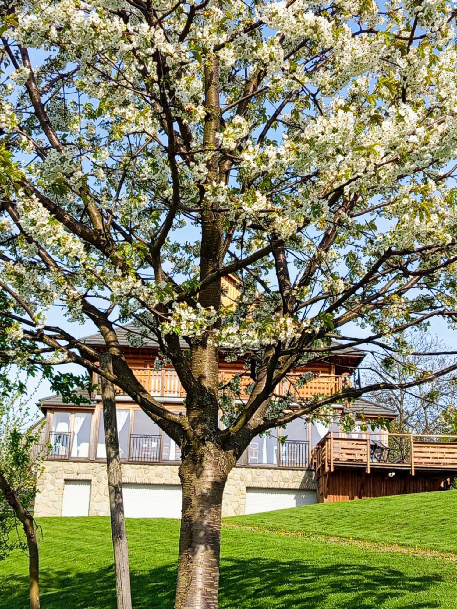 Dom Na Rozcesciu Bed & Breakfast Koniaków Екстериор снимка